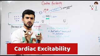 Cardiac Excitability Physiology 28 [upl. by Yorker]