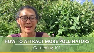 3 Easy Ways to Attract Pollinators to Your Garden [upl. by Konikow]