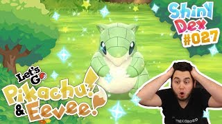 OVER 1000 SANDSHREWS SHINY SANDSHREW REACTION in POKEMON LETS GO PIKACHU AND EEVEE [upl. by Aurelia22]