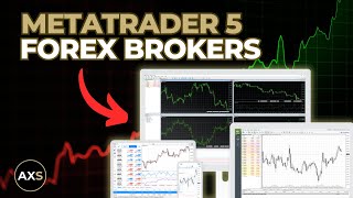 5 Best MetaTrader 5 MT5 Forex Brokers in 2024 [upl. by Sammer512]