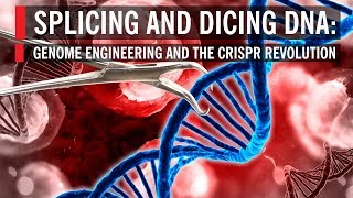 Splicing and Dicing DNA Genome Engineering and the CRISPR Revolution [upl. by Garik595]