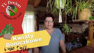 Wiejski dom kwiaty doniczkowe i nie tylko doniczkowe [upl. by Nirroc]