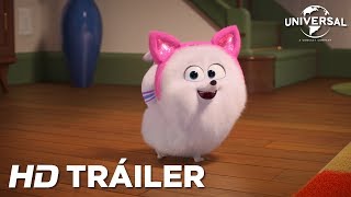 Mascotas Trailer En Español HD [upl. by Gusella]