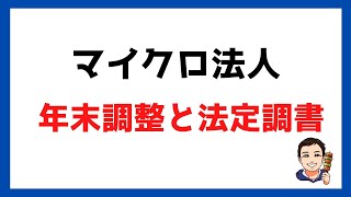 【マイクロ法人⑪】1人社長の年末調整と法定調書を攻略！ [upl. by Nahn]