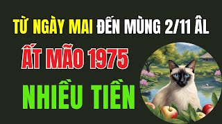 Tử vi Tuổi Ất Mão 1975 Từ ngày mai 25 tháng 10 âm lịch đến Mùng 2 tháng 11 âm Có rất nhiều tiền [upl. by Tikna484]