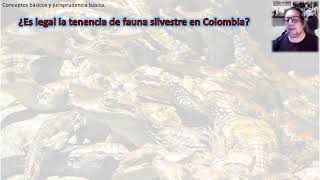 Aprovechamiento legal de fauna silvestre [upl. by Stenger]