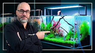 A Perfect Tutorial to Start Your FIRST Planted Aquarium [upl. by Rosco]