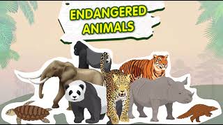 Exploring Endangered Animals  Amazing Facts for Kids [upl. by Etnaihc]