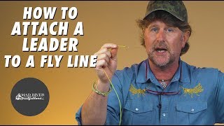 How To Attach A Leader To A Fly Line [upl. by Schram]