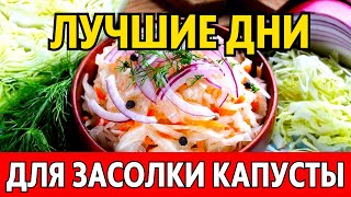 В ДЕКАБРЕ 2023 Когда солить капусту чтобы была очень вкусной Лучшие даты по лунному календарю [upl. by Aylad865]