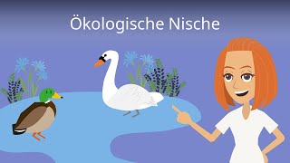 Ökologische Nische einfach erklärt [upl. by Anaxor]