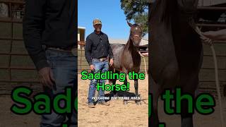 How to Saddle a Horse for Beginners [upl. by Maia]