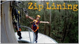 Otway Fly Treetop Adventures Zip Lining HD [upl. by Animehliw987]