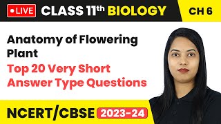 Anatomy of Flowering Plant  Top 20 Very Short Answer Type Questions  Class 11 Biology Ch 6  LIVE [upl. by Scrivens]