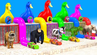 5 Giant Duck CartoonCowElephantTigerLionDinosaurPaint Wild Animals Crossing Fountain Animation [upl. by Zilef613]