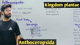 Anthoceropsida Characteristics  Hornworts  Life Cycle [upl. by Irec414]