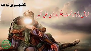 Haavaan Ali Akbar  تریش دٲد ژوٹمت جگر ہاوان علی اکبر  Kashmiri Heart Touching Noha kashmiri [upl. by Yoshio]