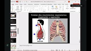 Cursillo de neumología 1 [upl. by Urion]