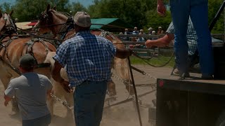 2022 FranklinvilleNY Lightweight horse pull [upl. by Ynad]