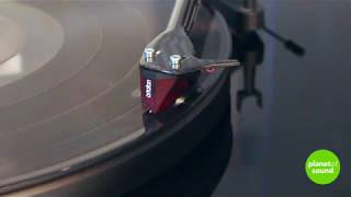 Under 300 Phono Cartridge Comparison Ortofon 2m Red Blue Grado Red2 Nagoaka MP110 Goldring E3 [upl. by Harpole867]