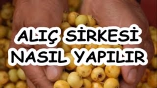 ALIÇ SİRKESİ NASIL YAPILIR [upl. by Nnyloj]