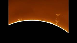 Solar Loop Prominences from Sunspot Regions 3712 and 3713  June 24 2024 [upl. by Adelpho]