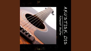 Klassisk Guitar [upl. by Kcirdaed822]