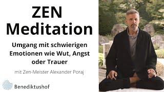 Umgang mit schwierigen Emotionen  ZenMeister Alexander Poraj [upl. by Acinad]