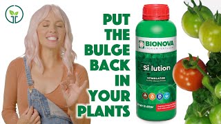 SiLution MonoSilicic Acid from Bionova Nutrients [upl. by Maribel]