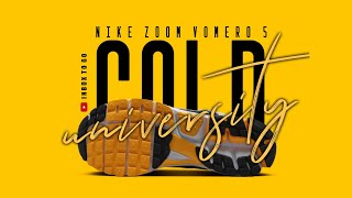 UNIVERSITY GOLD 2024 Nike Zoom Vomero 5 DETAILED LOOK  PRICE INFORMATION [upl. by Sydney]