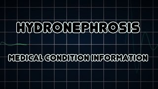 Hydronephrosis Medical Condition [upl. by Montagna697]