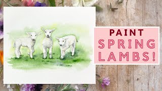 How To Paint Watercolour Spring Lambs [upl. by Emeline285]