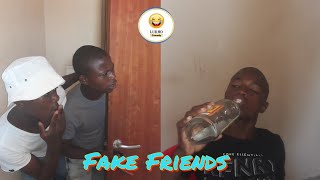 Fake Friends [upl. by Martino]