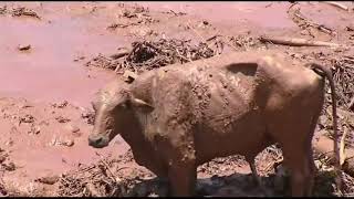 2019 Brumadinho Dam Disaster  Drone Flight [upl. by Nolham811]