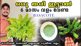 ഒരു തരി ഇട്ടാൽ ആറ് മാസം വളം വേണ്ട  Basacote Fertilizer  ECOON PLPLANTS [upl. by Evante167]