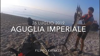 Aguglia imperiale in kayak [upl. by Farnham]