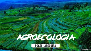 Arequipa  Agroecología Pocsi [upl. by Klusek]