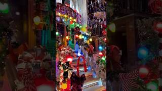 Dyker Heights Christmas Lights Brooklyn NY [upl. by Yeslek]