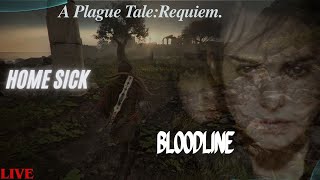 🔴 Home Sick Live India  A Plague Tale Requiem  Bloodlines  IS DONE ITs VALORANT TIME [upl. by Nnaasil44]