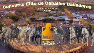 CONCURSO ELITE DE CABALLOS BAILADORES El REY DE LA PETATERA VILLA DE ALVAREZ COLIMA [upl. by Nimra392]