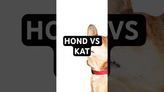 Honden 🐕 vs Katten 🐈 [upl. by Patty]