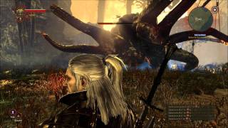 Witcher 2 How to kill Kayran [upl. by Evslin]