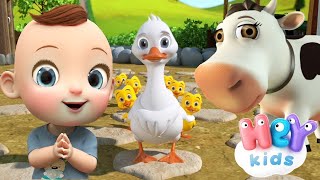 Comptines pour Bébé en Anglais  Chansons pour apprendre langlais  HeyKids [upl. by Muffin310]