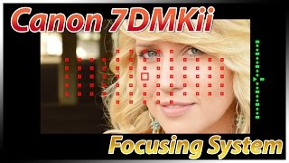 Canon 7Dii Focusing Tutorial Training  How to Focus  Overview Review Tips Suggestions [upl. by Kristof875]