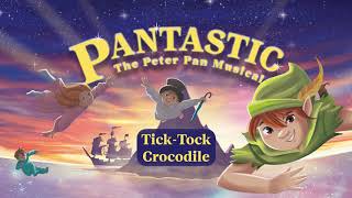 Tick Tock Crocodile  Pantastic the musical  Sing Along [upl. by Yeslaehc]