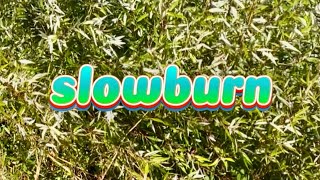 slowburn [upl. by Carrillo]