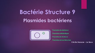 Bactérie Structure 9 MATERIEL GENETIQUE  PLASMIDES [upl. by Ynotna]