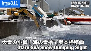 【雪捨て場】ユンボは今シーズンも海水まみれで奮闘！北海道小樽市 [upl. by Anceline]