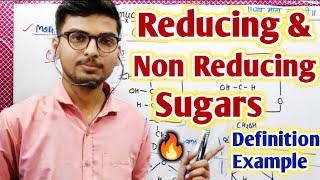 Reducing sugar and non reducing sugarReducing amp Nonreducing sugarReducing and NonReducing Sugars [upl. by Phoebe63]