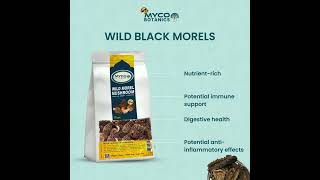 DRIED WILD MOREL MUSHROOMS 50GM morel mushroom fungi natural health [upl. by Mcneely638]